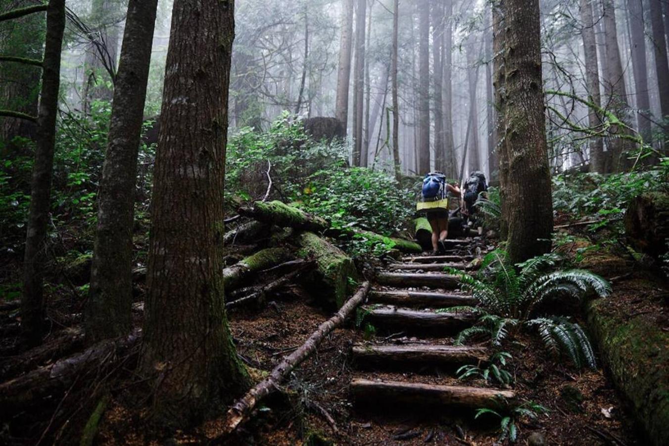 The Great Escape - Port Renfrew 빌라 외부 사진