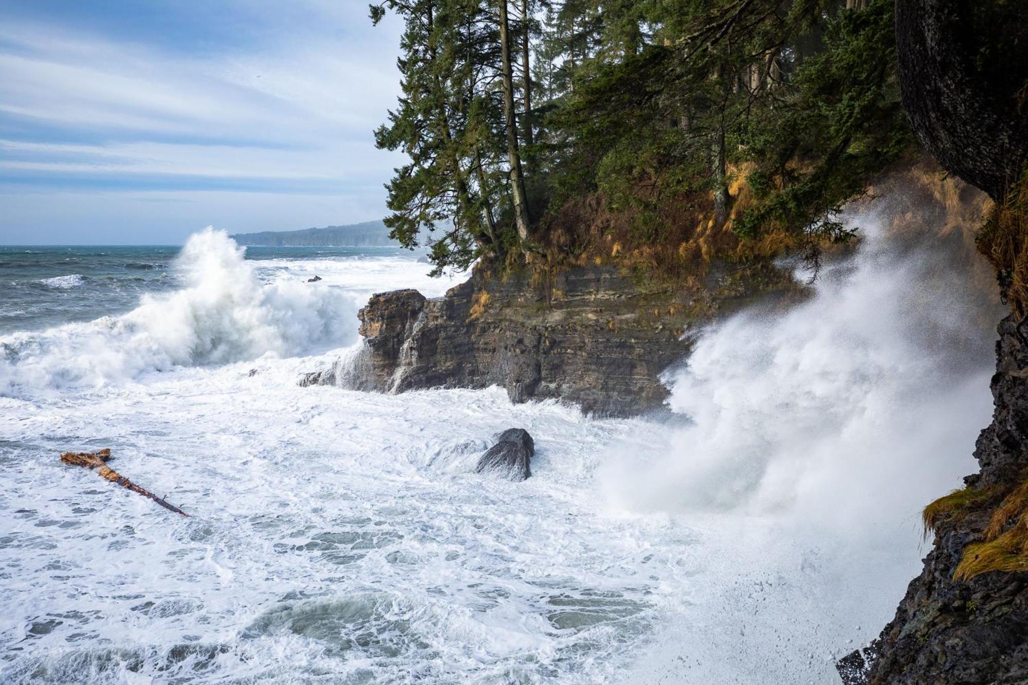 The Great Escape - Port Renfrew 빌라 외부 사진